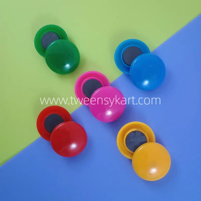 Colourful Opaque Coin Magnet