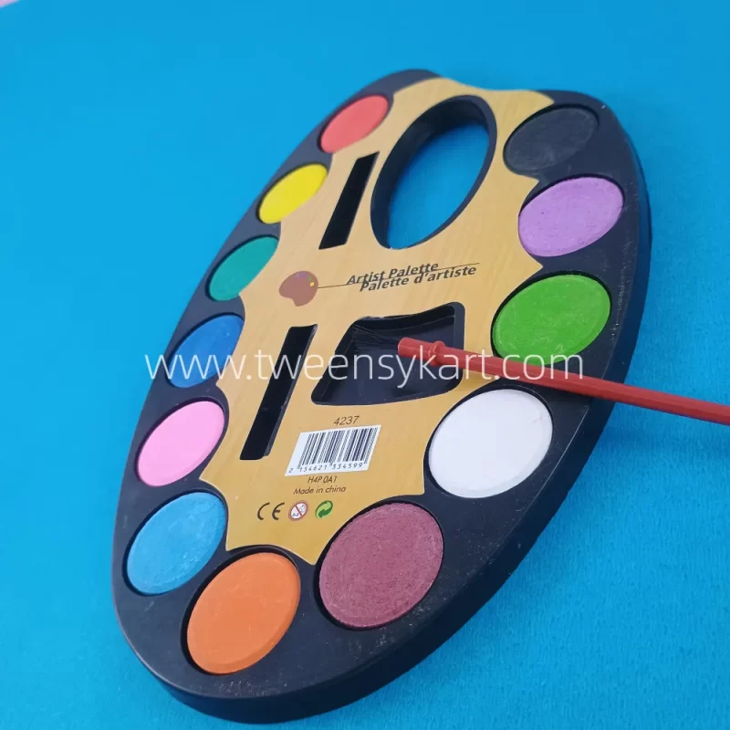 Big Artist Colourful Painting Palette With Brush