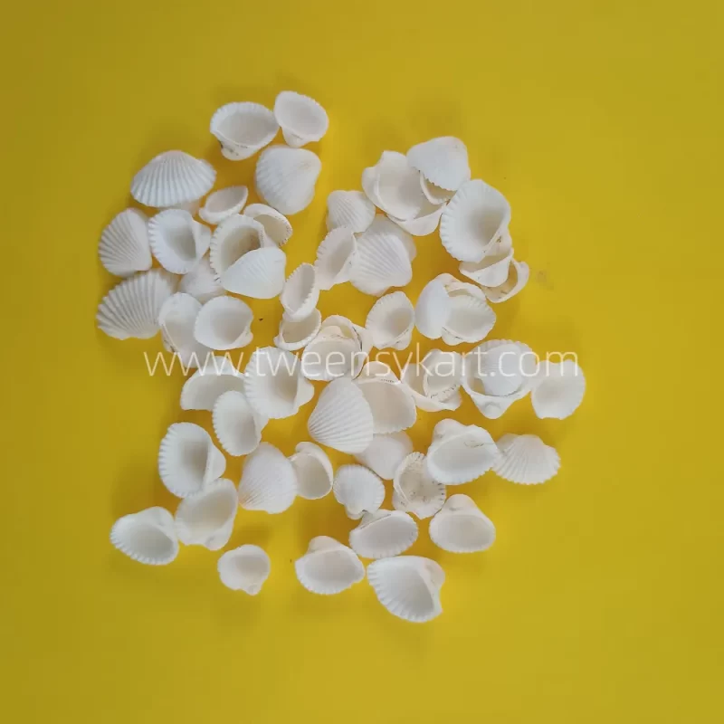 Mini White Shells For Craft & Projects