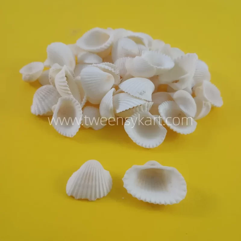 Mini White Shells For Craft & Projects