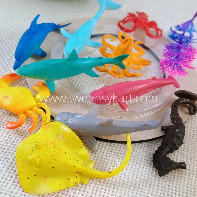 Ocean Animals For Kids