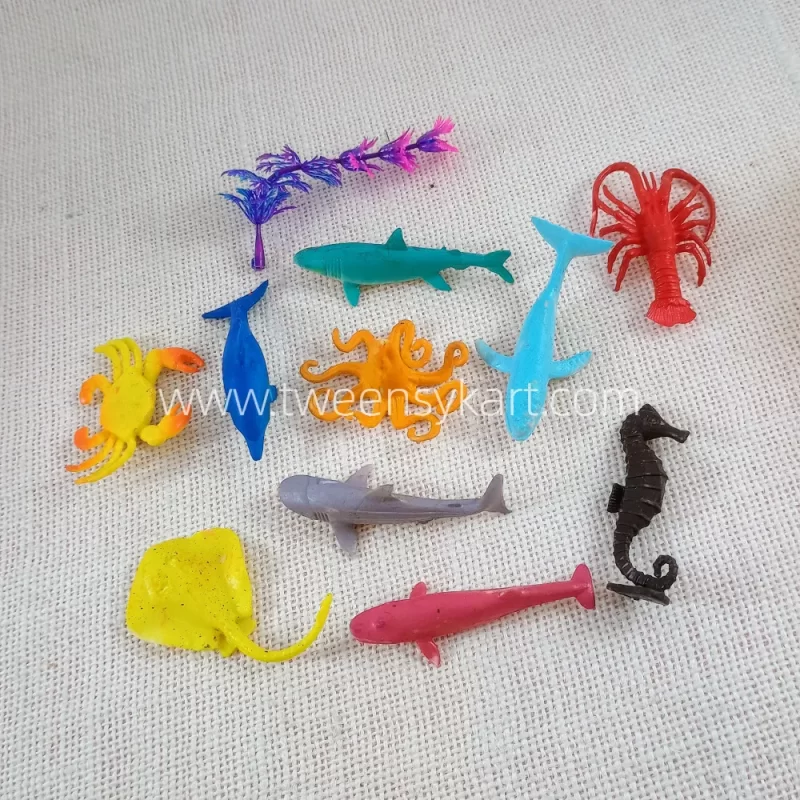 Ocean Animals For Kids