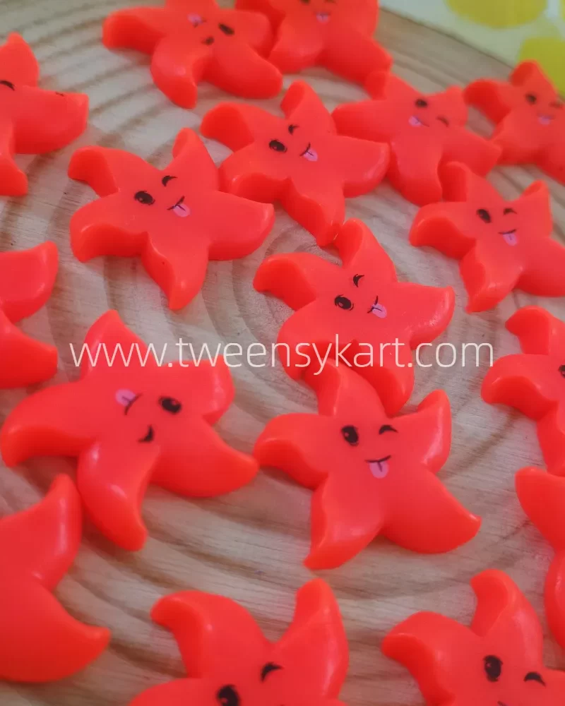 Miniature Smiley Starfish