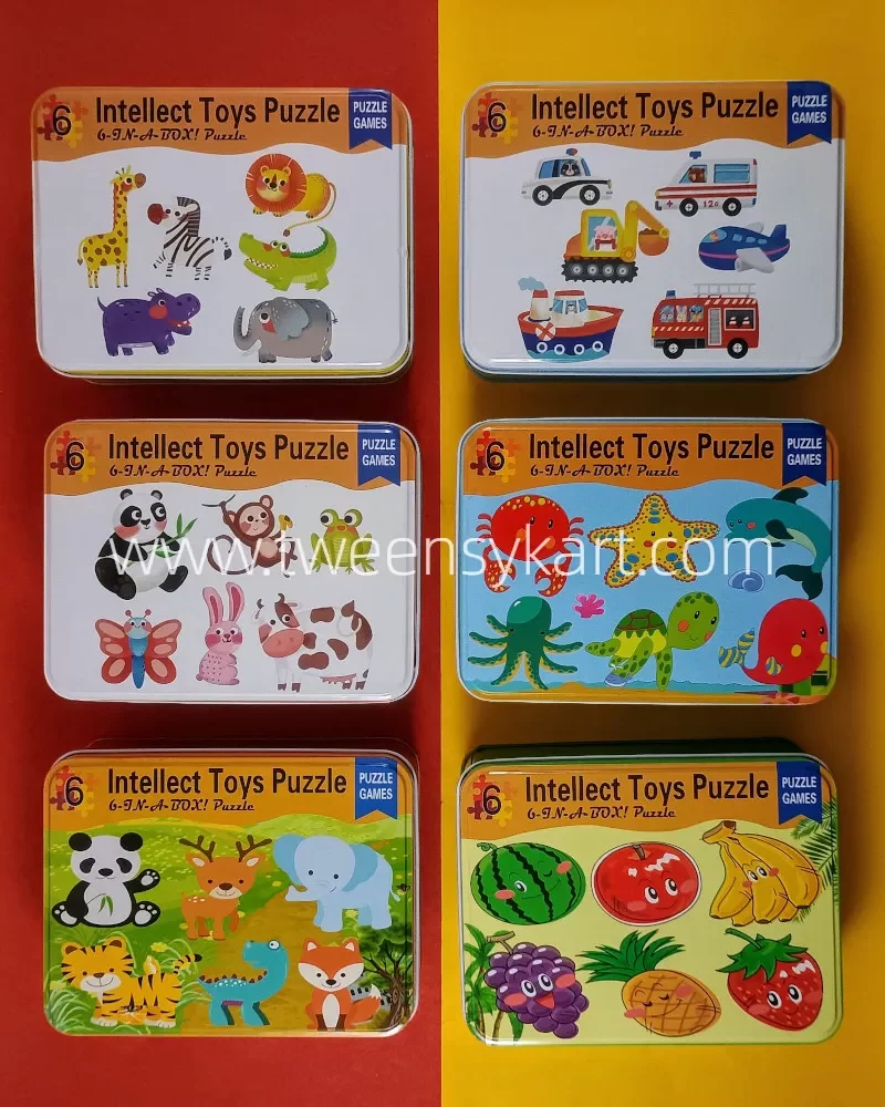 6 in 1 Intellect toy Puzzle