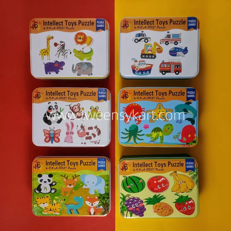 6 in 1 Intellect toy Puzzle