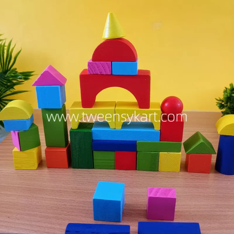 Wooden Blocks in Plastic box