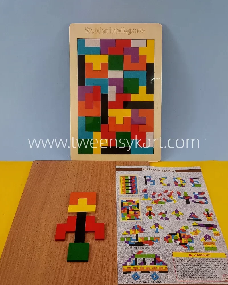 Wooden Intelligence Puzzle toy