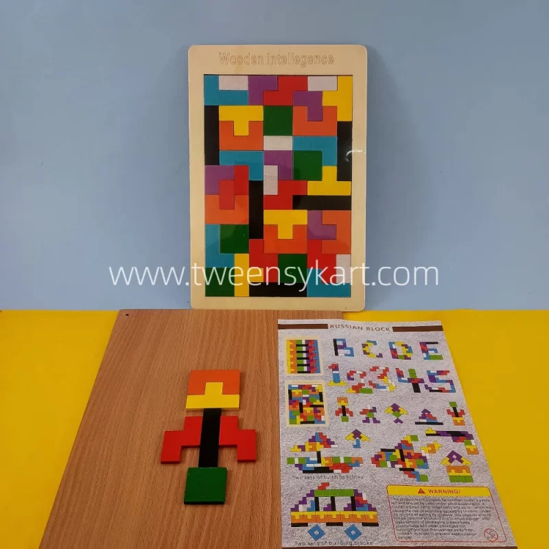 Wooden Intelligence Puzzle toy