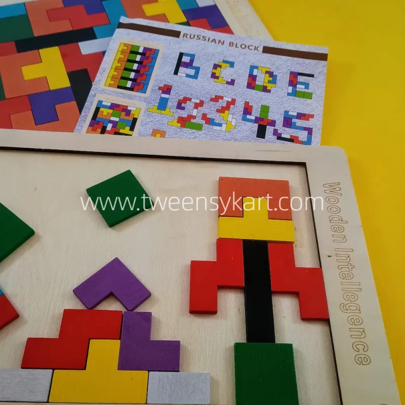 Wooden Intelligence Puzzle toy