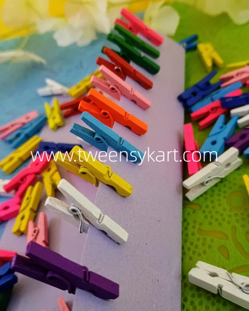 Wooden Colourful pegs