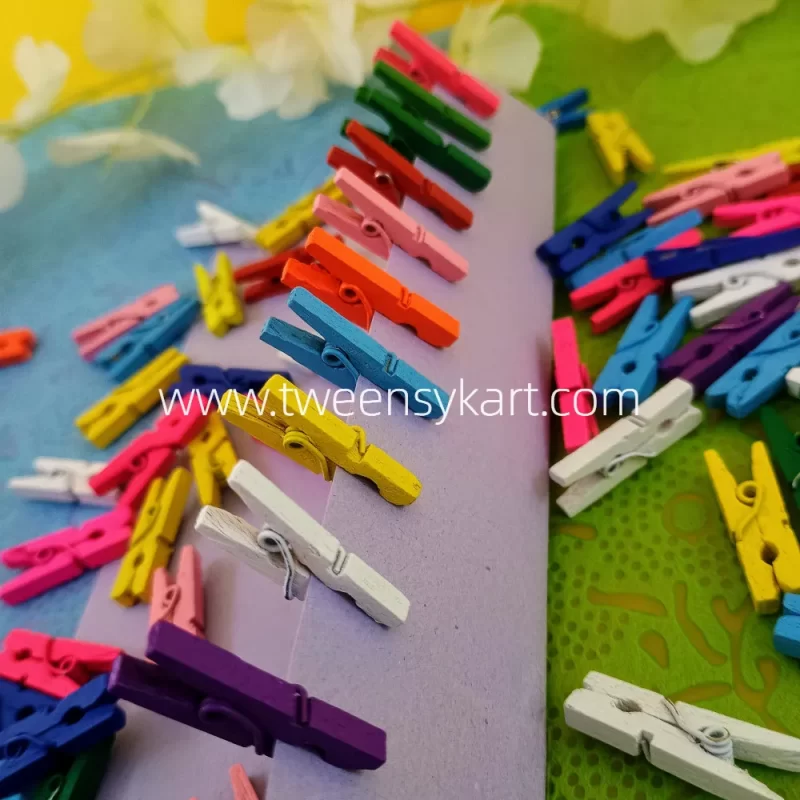 Wooden Colourful pegs